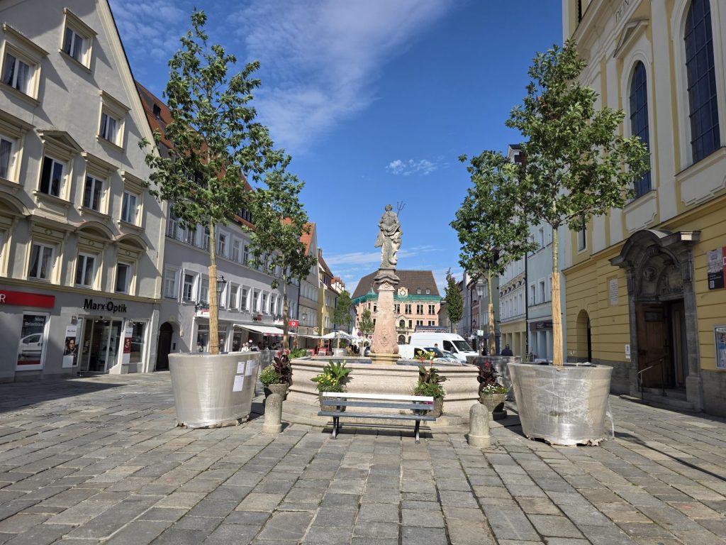 Bäume in Pflanztrögen in der Kaiser-Max-Straße in Kaufbeuren