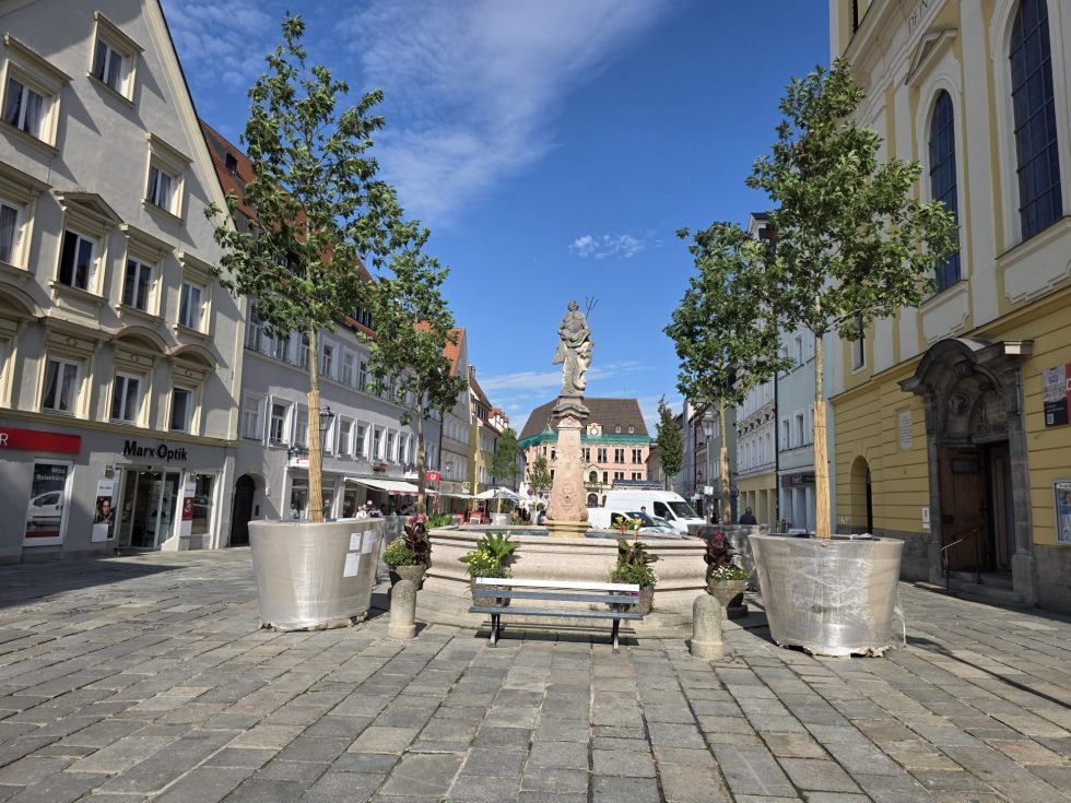 Bäume in Pflanztrögen in der Kaiser-Max-Straße in Kaufbeuren