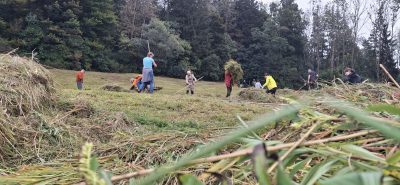 Biotoppflege am Samstag, 26.09.2026